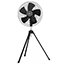 Pedestal Fan